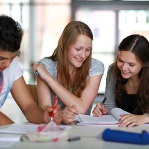 Schülergruppe beim Lernen. Foto: AdobeStock 56720726